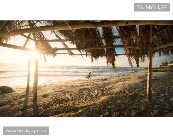 南京极限运动队中路突破创新之路探秘与发展展望