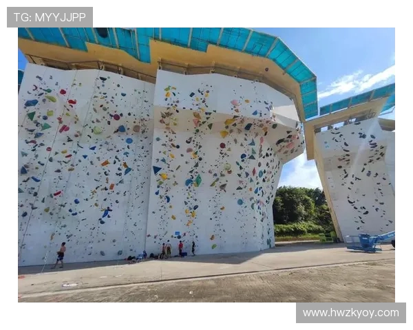 广州攀岩队进攻战术解析与实战应用的深度分析